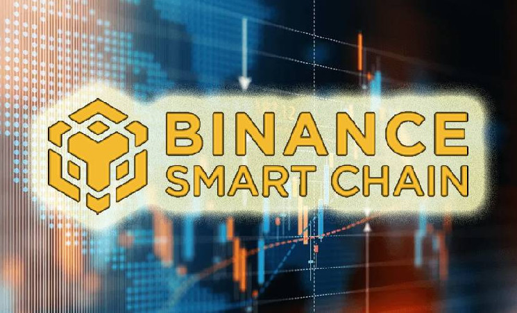 
			Binance Smart Chain — лидер по количеству уникальных адресов		