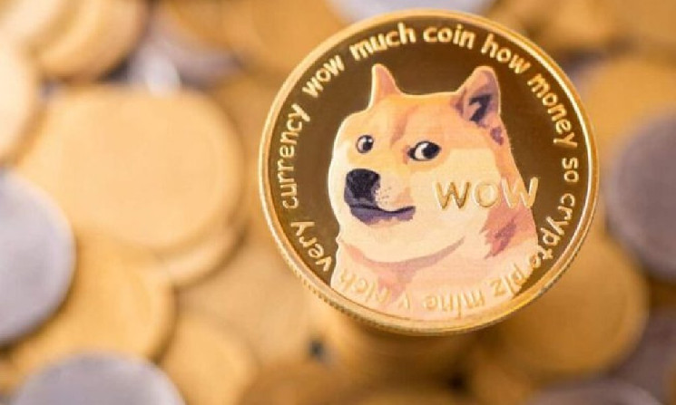 
			Илон Маск опубликовал заявление о Dogecoin		